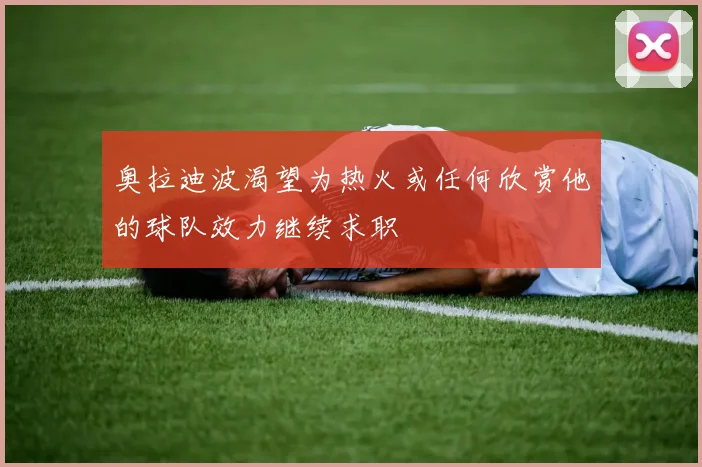奥拉迪波渴望为热火或任何欣赏他的球队效力继续求职