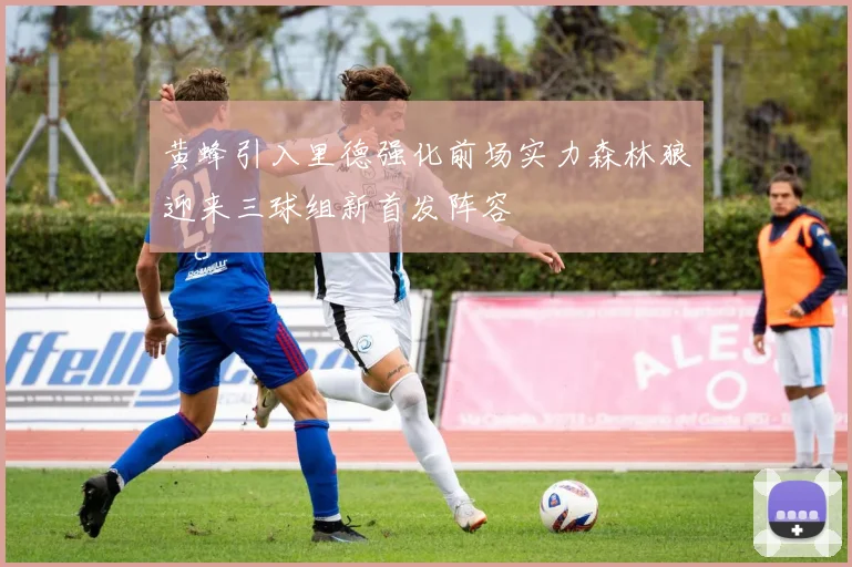 黄蜂引入里德强化前场实力森林狼迎来三球组新首发阵容